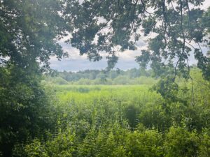 Brevet 2026 - Gravel Nord